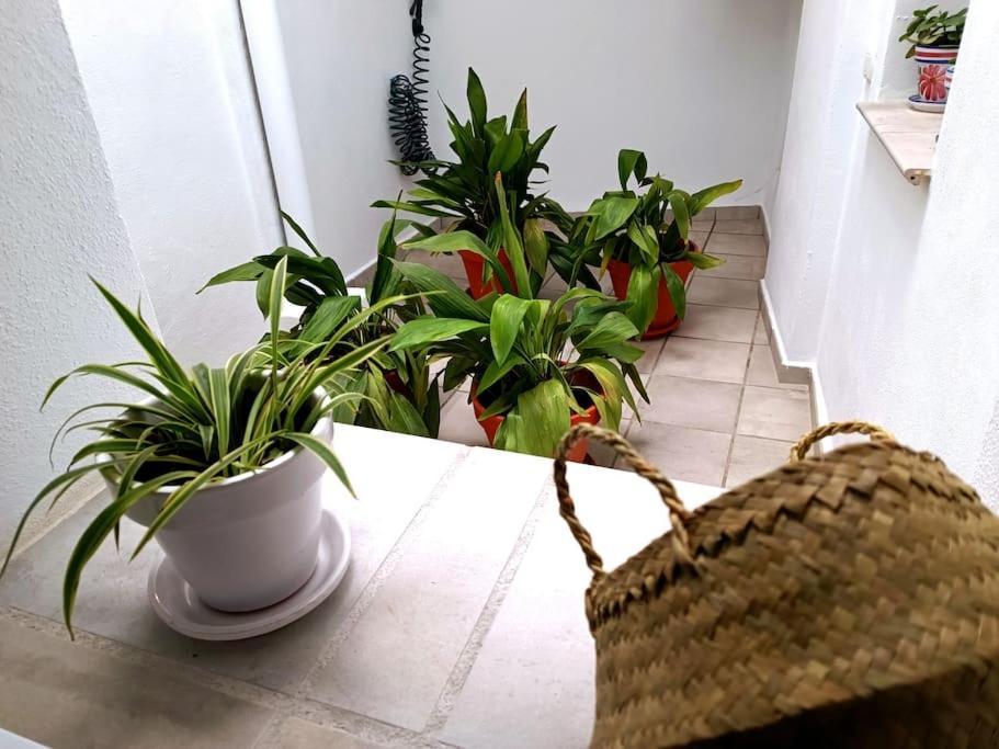 Apartamento Alberzana - Barrio Albaicin - Granada Dış mekan fotoğraf